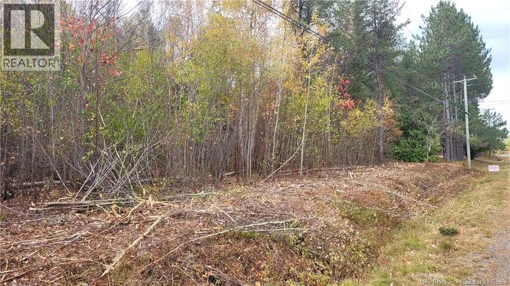 0 Rte 118, South Nelson, New Brunswick  E1N 6C7 - Photo 4 - NB128343