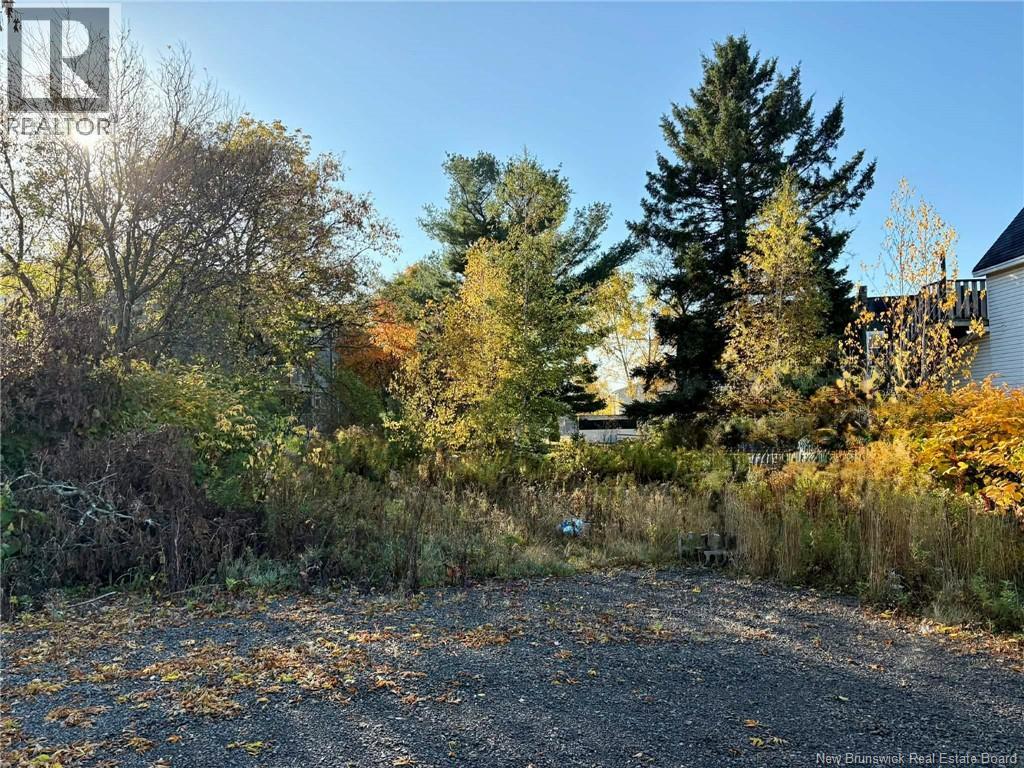 164 Gabriel Street, Dieppe, New Brunswick E1A 1Z2 - Photo 5 - NB128494