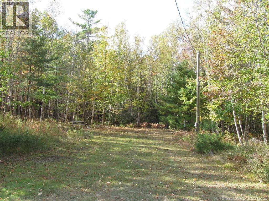 1854 Route 690, Douglas Harbour, New Brunswick E4B 1T9 - Photo 4 - NB128545