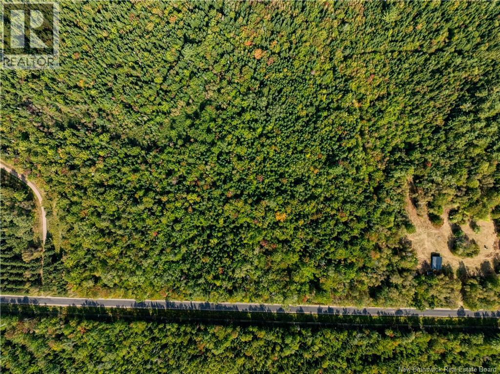Lot 79-1 Cumberland Point Road, Cumberland Bay, New Brunswick E4A 3J1 - Photo 9 - NB128505