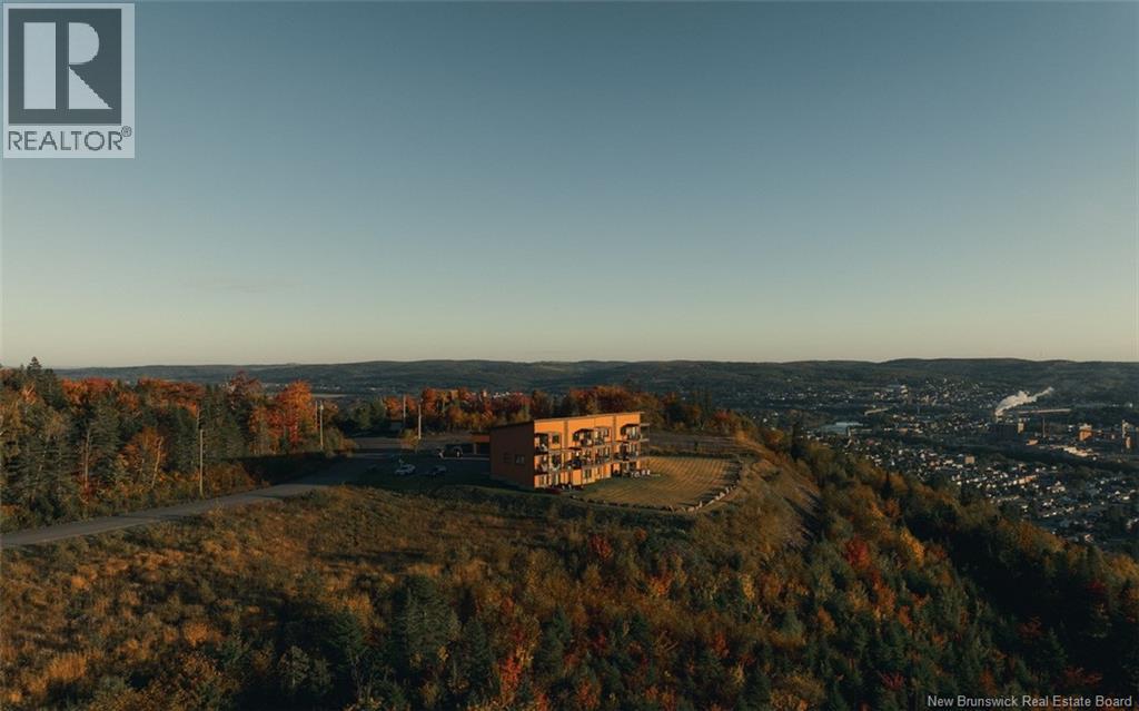 112 De La Falaise Street Unit# 201, Edmundston, New Brunswick  E3V 0C4 - Photo 23 - NB128636