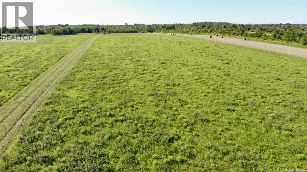 Lot 1 Bas Cap Pele, Bas Cap Pele, New Brunswick  E4N 1M1 - Photo 3 - NB128663