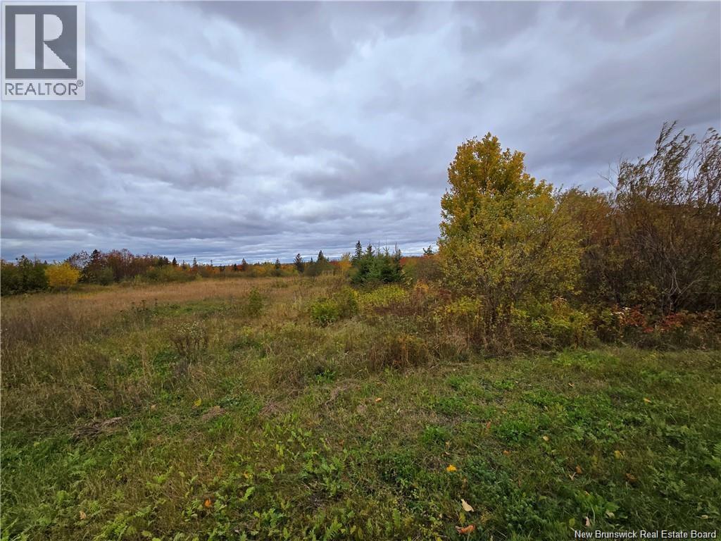 8782sm Blvd Des Acadiens, Bertrand, New Brunswick E1W 1L9 - Photo 2 - NB128506