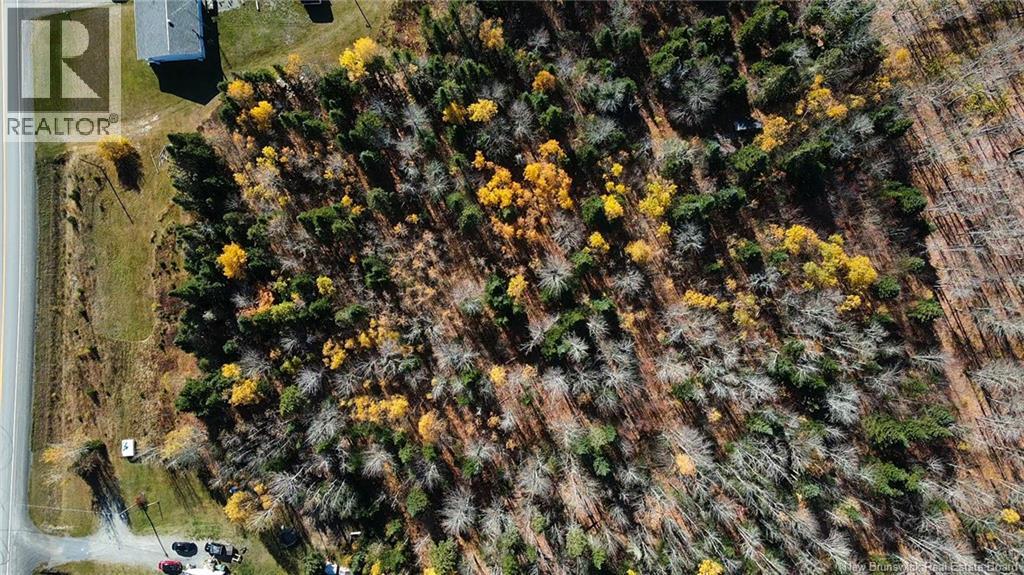 9054 17 Route, Whites Brook, New Brunswick  E8B 1Z6 - Photo 25 - NB128432