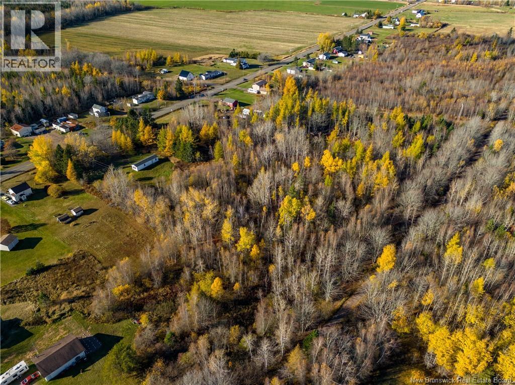 Lot Highway 132 Route, Scoudouc Road, New Brunswick  E4P 3S3 - Photo 13 - NB128687