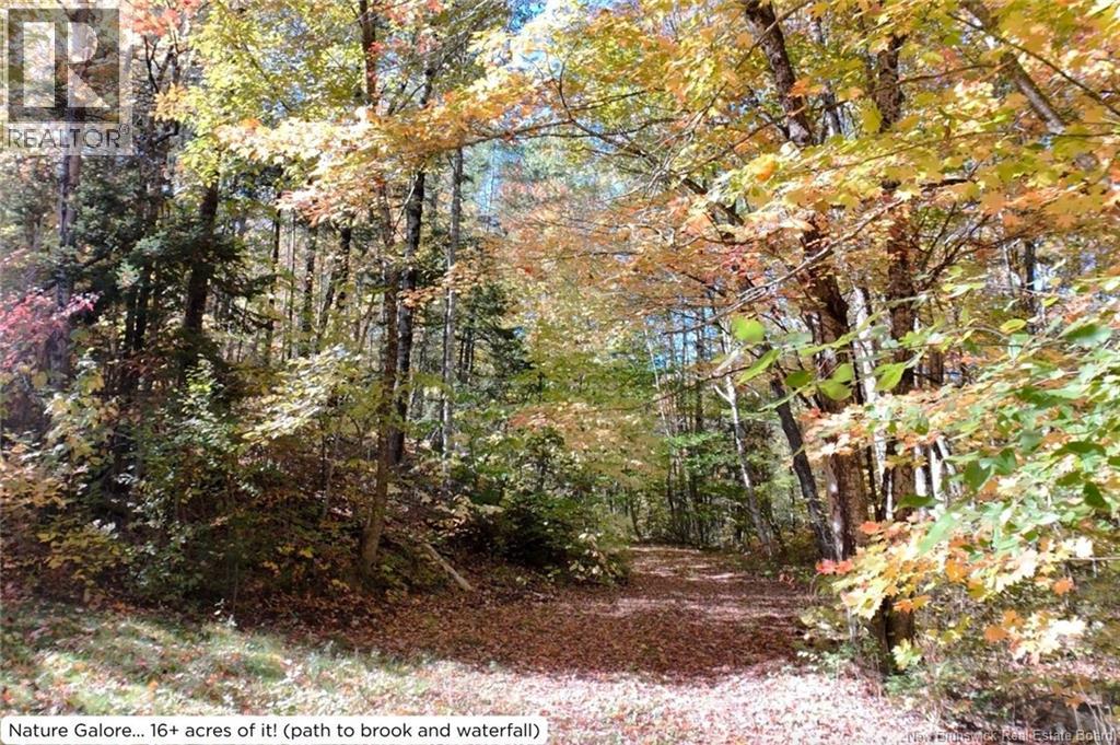 7415 Route 101, Wirral, New Brunswick  E5L 2P6 - Photo 44 - NB127916