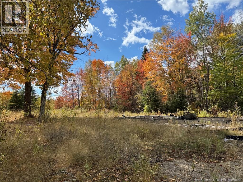 60 Bettsburg Road, New Bandon, New Brunswick E9C 2C2 - Photo 2 - NB128726
