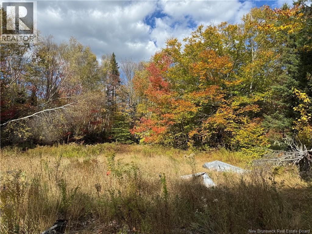 60 Bettsburg Road, New Bandon, New Brunswick E9C 2C2 - Photo 3 - NB128726