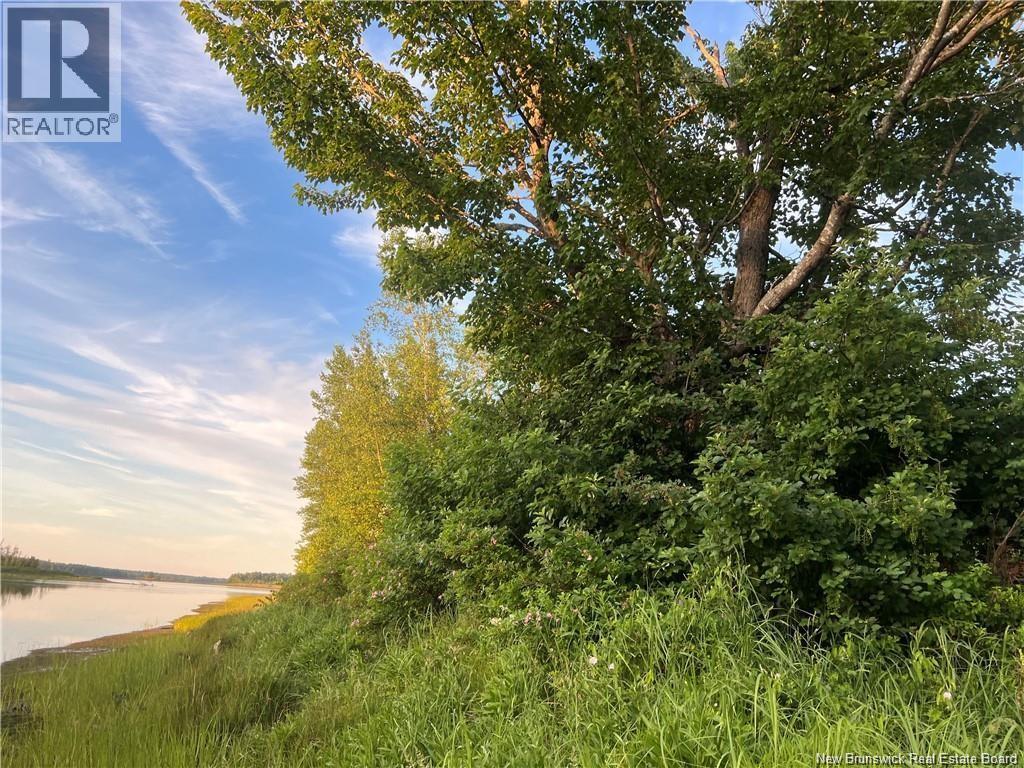 Lot 16-18 Aleesha Court, Bass River, New Brunswick  E4T 3Z1 - Photo 10 - NB128755