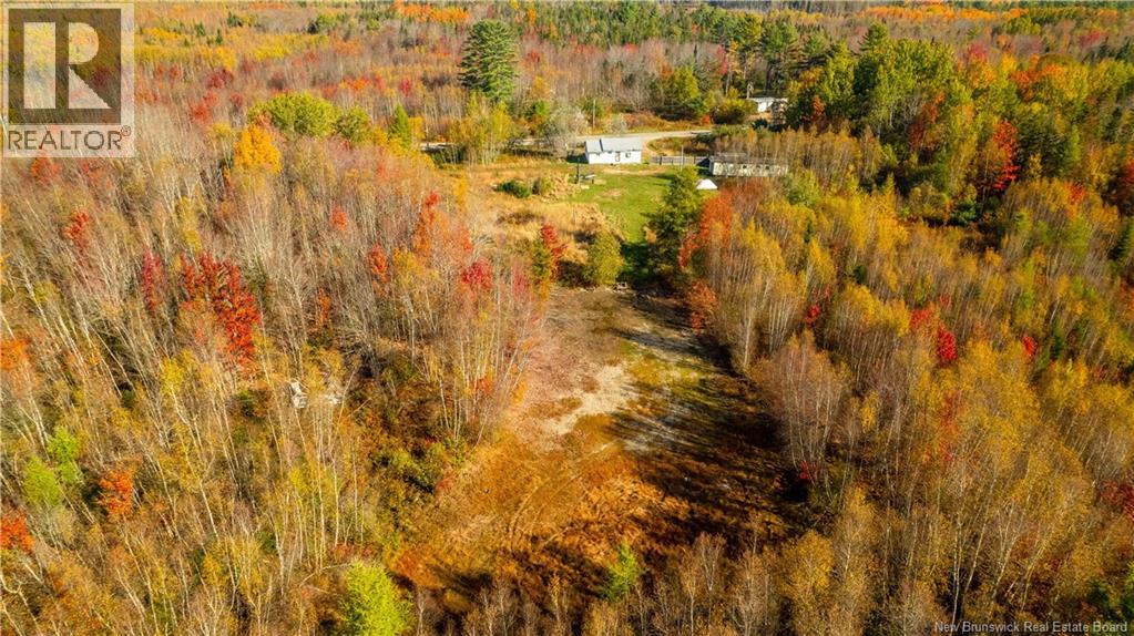 390 Scott Road, Honeydale, New Brunswick  E5A 1P5 - Photo 29 - NB128042