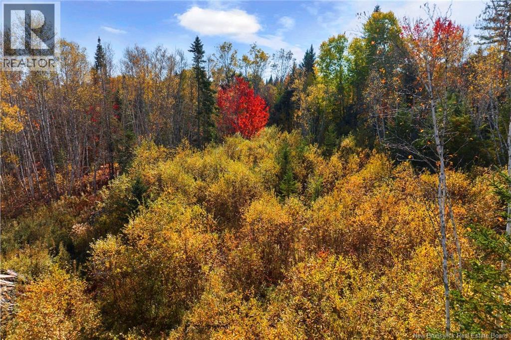 Lot 99-1 Eniskillen Road, Wirral, New Brunswick  E5L 2L9 - Photo 6 - NB128818