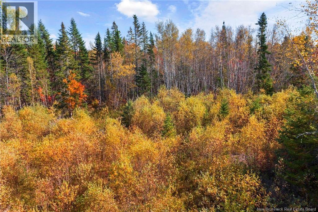 Lot 99-1 Eniskillen Road, Wirral, New Brunswick  E5L 2L9 - Photo 7 - NB128818