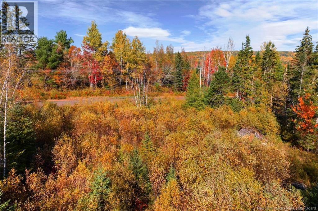 Lot 99-1 Eniskillen Road, Wirral, New Brunswick  E5L 2L9 - Photo 8 - NB128818