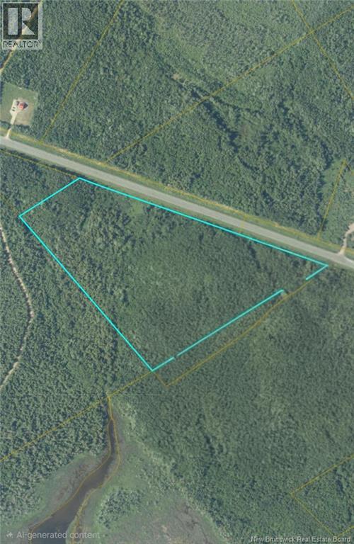 21.7 Acre Route 113, Inkerman, New Brunswick E8P 1E2 - Photo 1 - NB128805