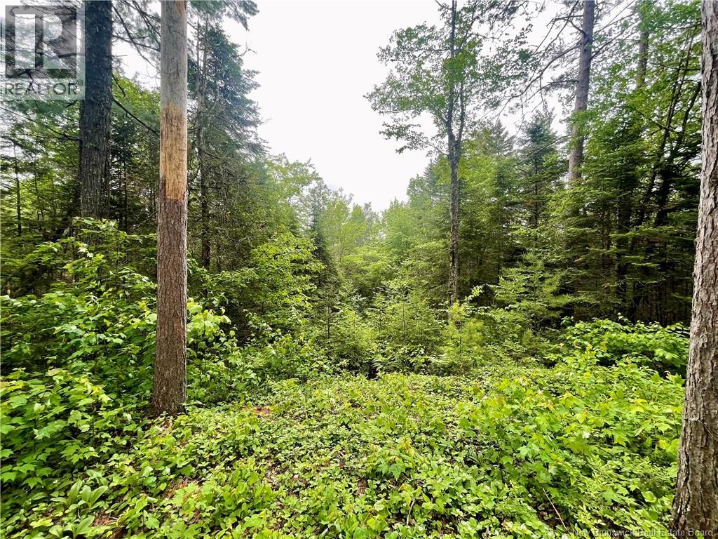 3689 Route 3, Manners Sutton, New Brunswick  E6K 1Y1 - Photo 7 - NB127430