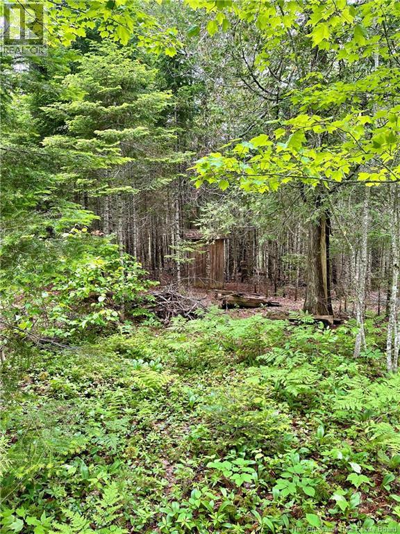 3689 Route 3, Manners Sutton, New Brunswick  E6K 1Y1 - Photo 8 - NB127430