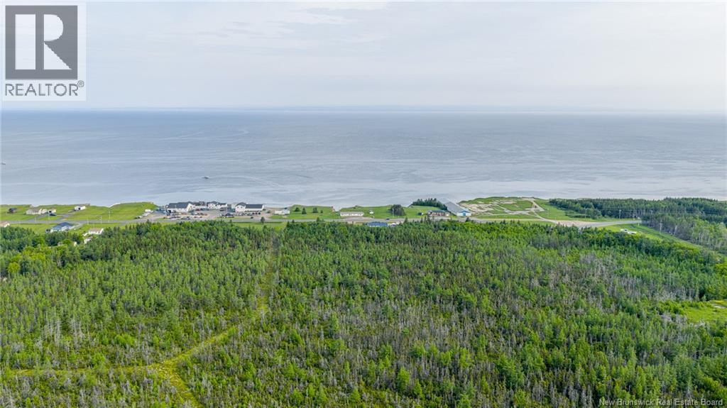 21.9acres Rue Acadie, Grande-Anse, New Brunswick  E8N 1A3 - Photo 4 - NB128819
