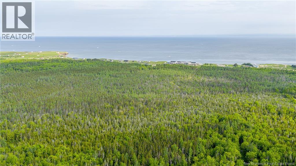 21.9acres Rue Acadie, Grande-Anse, New Brunswick  E8N 1A3 - Photo 7 - NB128819