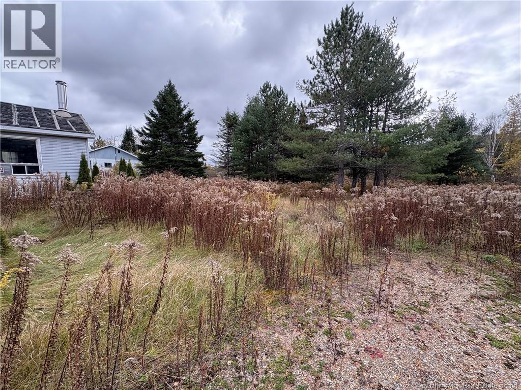 11 Deleavy Road, Hazeldean, New Brunswick E7G 1L8 - Photo 4 - NB128753