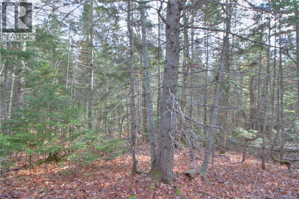 Lot 25-9 Creekview Lane, Galloway, New Brunswick  E4W 2G6 - Photo 3 - NB129014