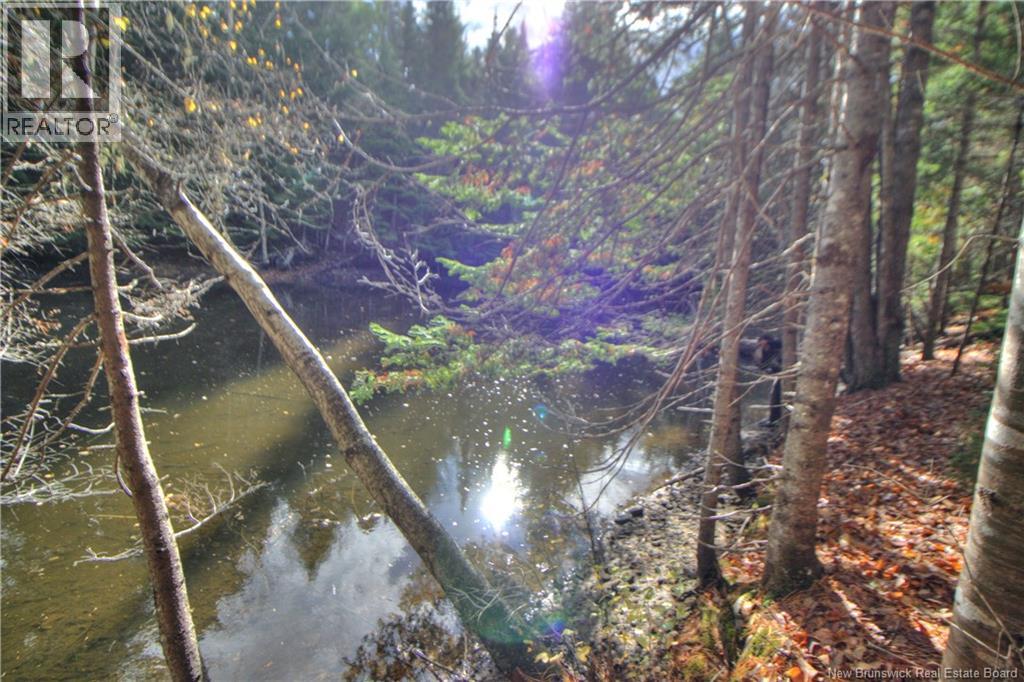 Lot 25-9 Creekview Lane, Galloway, New Brunswick  E4W 2G6 - Photo 5 - NB129014