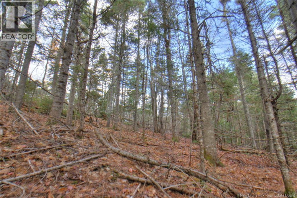 Lot 25-8 Creekview Lane, Galloway, New Brunswick  E4W 2G6 - Photo 14 - NB129010