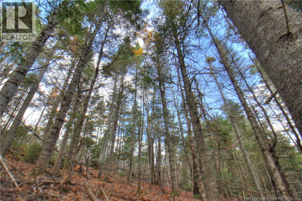 Lot 25-8 Creekview Lane, Galloway, New Brunswick  E4W 2G6 - Photo 4 - NB129010