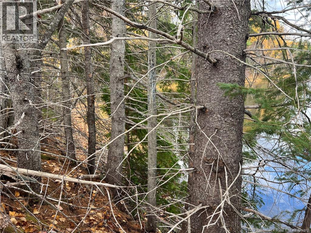Lot 25-3 Creekview Lane, Galloway, New Brunswick  E4W 2G6 - Photo 10 - NB129004