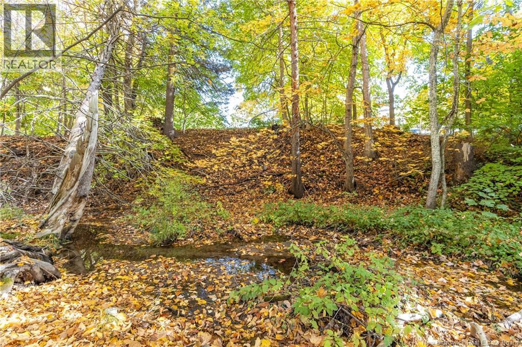 114 Route 133 Road, Shediac, New Brunswick E4P 3E2 - Photo 46 - NB128747