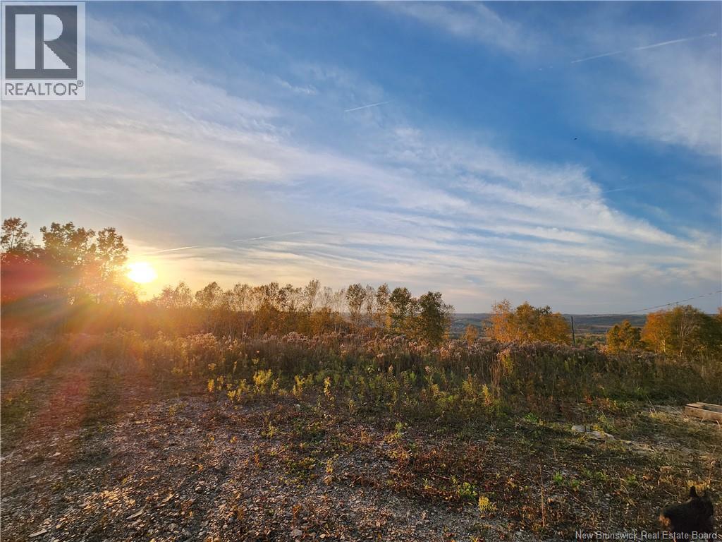 304 Foley Brook, New Denmark, New Brunswick  E7G 1P5 - Photo 5 - NB129119