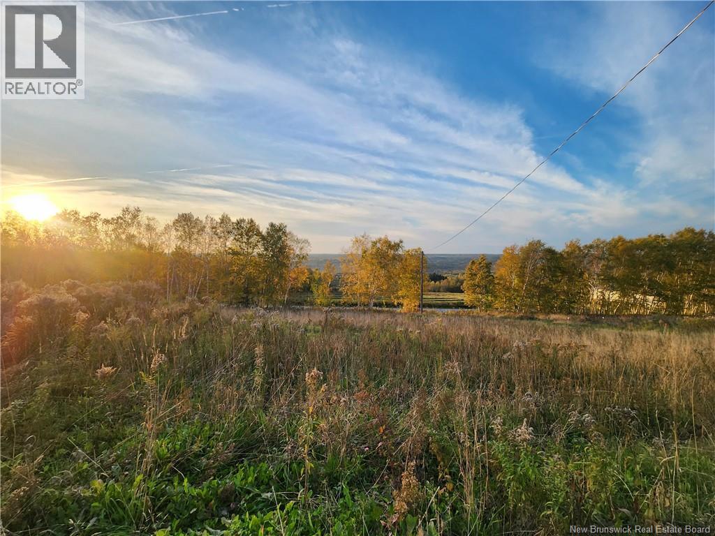 304 Foley Brook, New Denmark, New Brunswick  E7G 1P5 - Photo 7 - NB129119