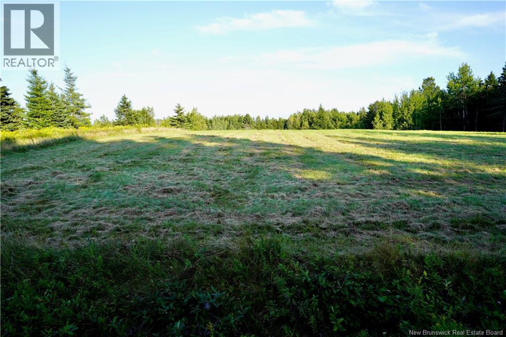Lot Hesler, Sackville, New Brunswick  E4L 3E7 - Photo 7 - NB129091