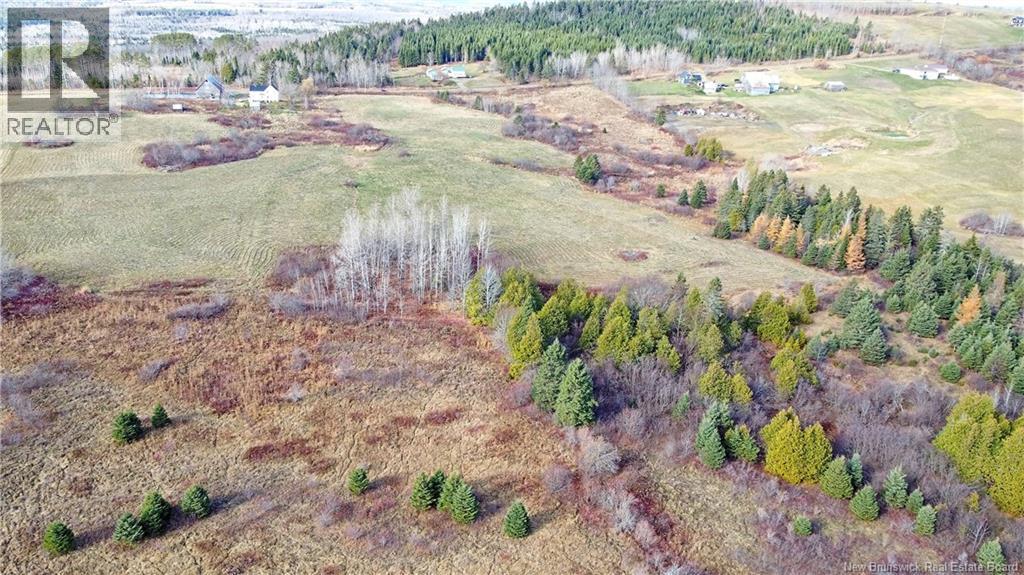 Howland Ridge Road, Millville, New Brunswick  E6E 1P8 - Photo 6 - NB128988