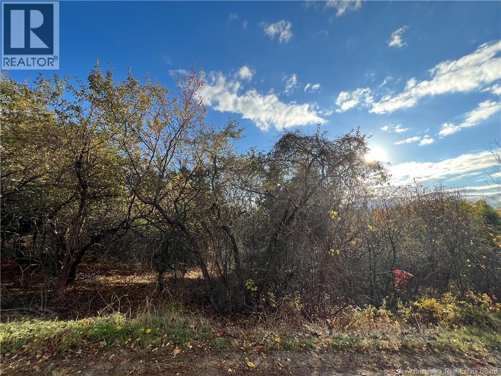 73-18 Tavener Terrace, Picadilly, New Brunswick  E4E 3X2 - Photo 2 - NB129222