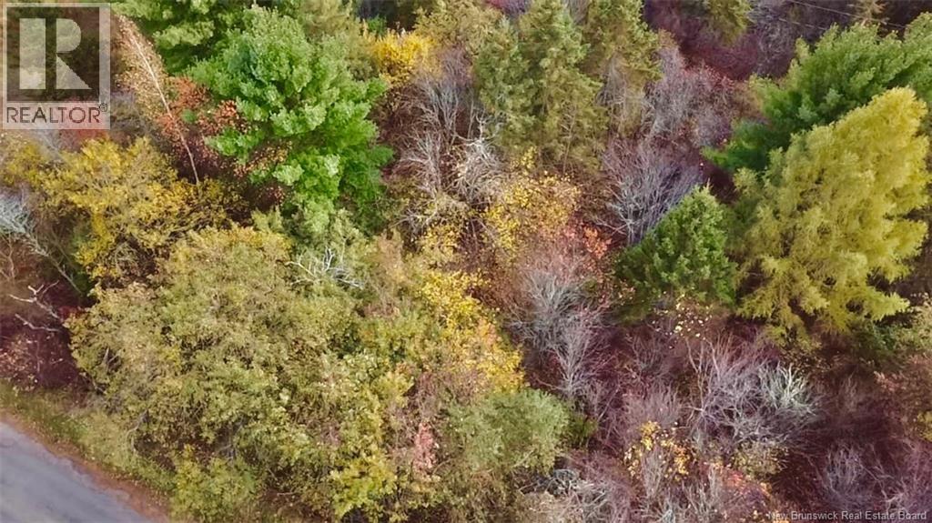 73-18 Tavener Terrace, Picadilly, New Brunswick  E4E 3X2 - Photo 3 - NB129222