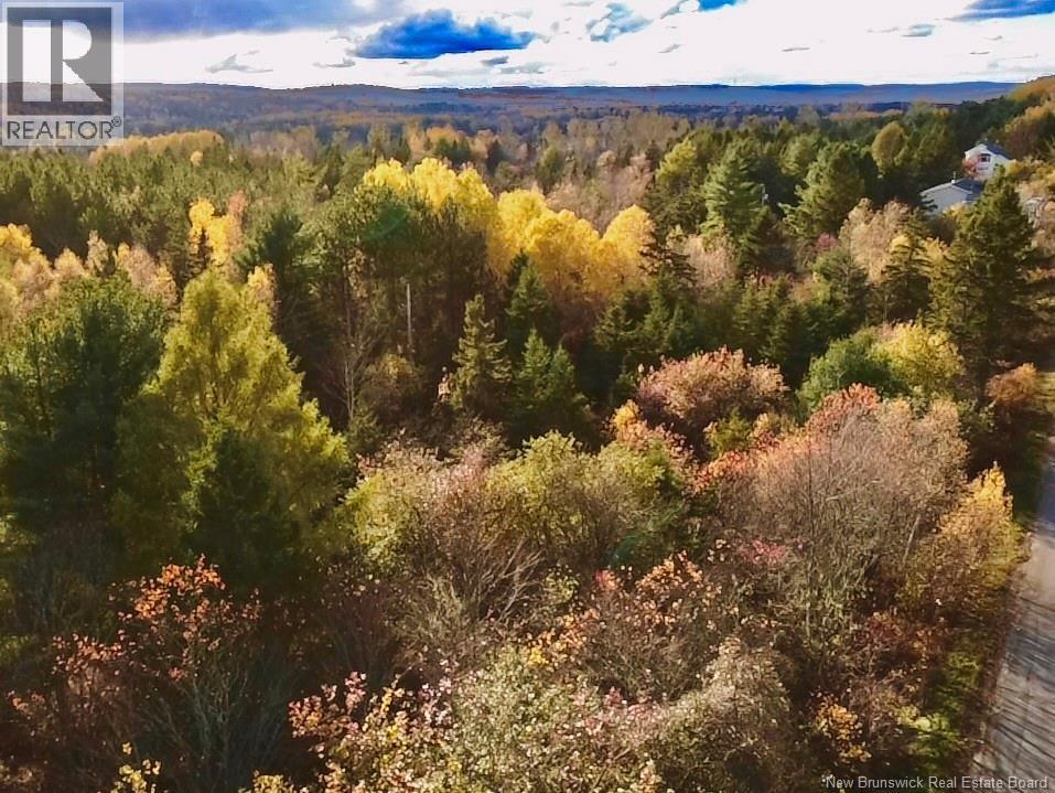 73-17 Tavener Terrace, Picadilly, New Brunswick  E4E 3X2 - Photo 3 - NB129223