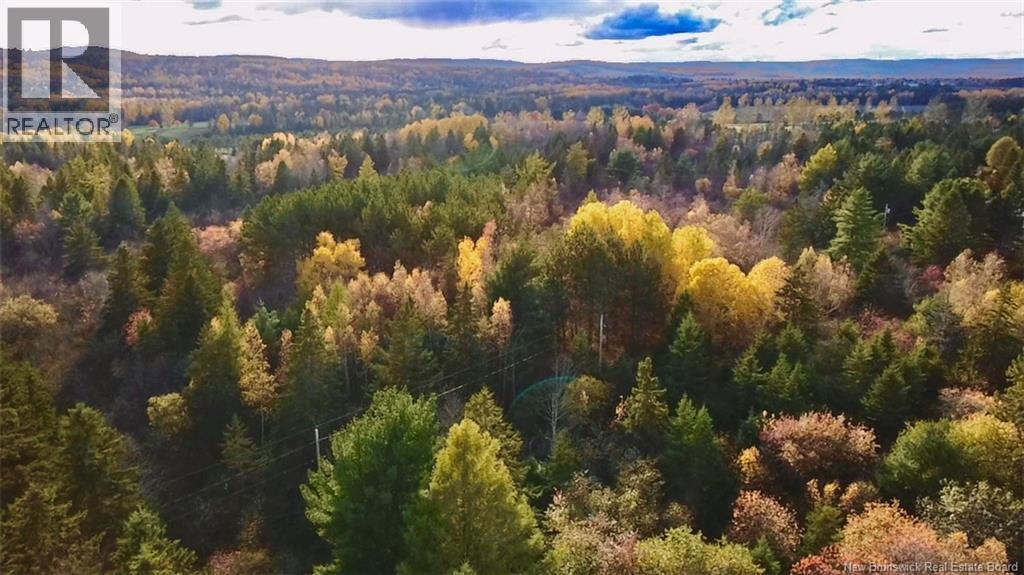 73-17 Tavener Terrace, Picadilly, New Brunswick  E4E 3X2 - Photo 4 - NB129223