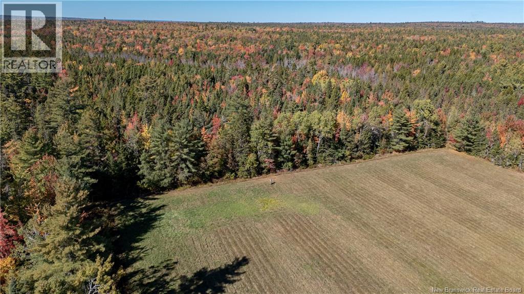 3506 Lower Cambridge Road, Cambridge-Narrows, New Brunswick  E4C 1S6 - Photo 45 - NB129191