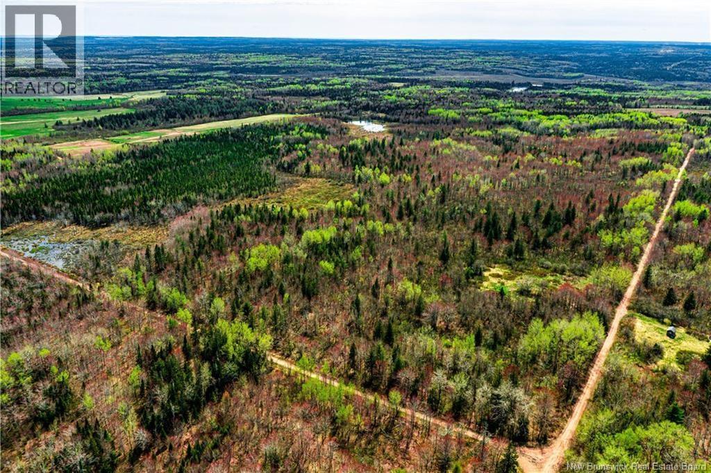 Lot Saint Damien, Saint-Damien, New Brunswick  E4V 3E6 - Photo 3 - NB129255