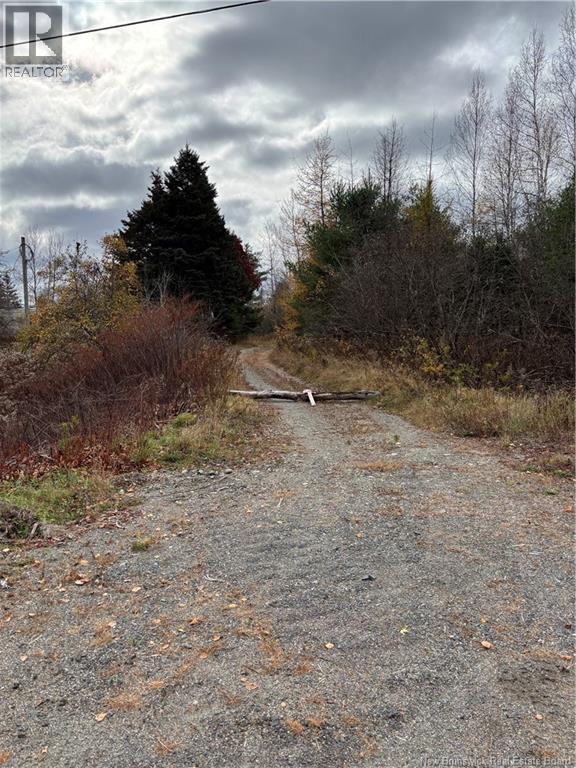 682 Boyd Road, Elmsville, New Brunswick  E5A 1M8 - Photo 2 - NB129238