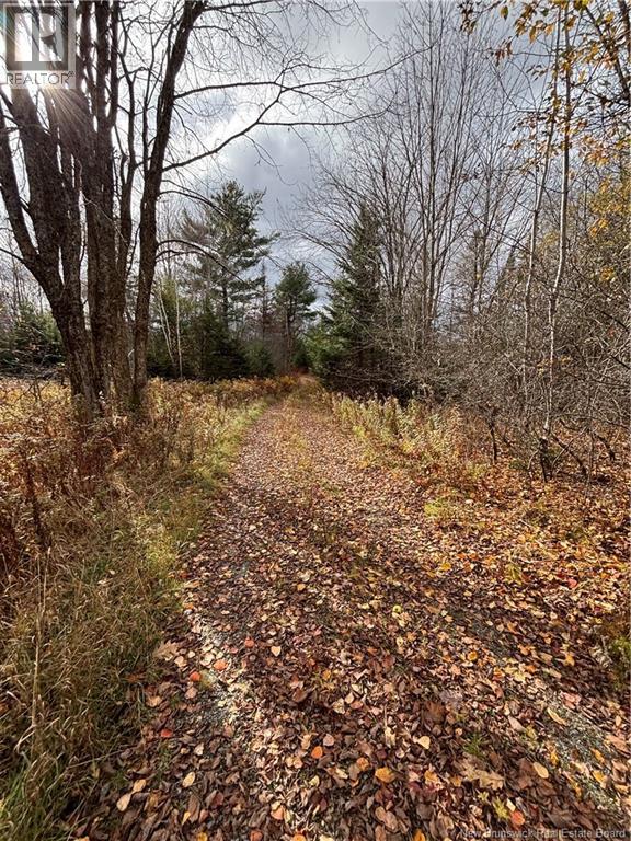 682 Boyd Road, Elmsville, New Brunswick  E5A 1M8 - Photo 4 - NB129238