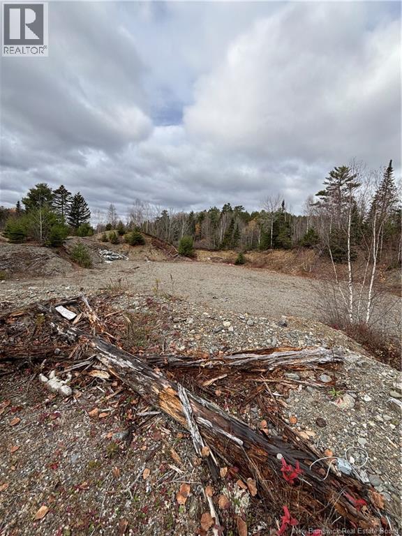 682 Boyd Road, Elmsville, New Brunswick  E5A 1M8 - Photo 7 - NB129238