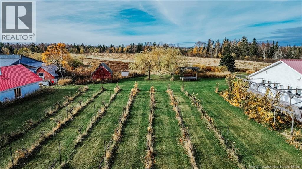 851 Route 970, Baie Verte, New Brunswick E4M 1Y3 - Photo 41 - NB129268