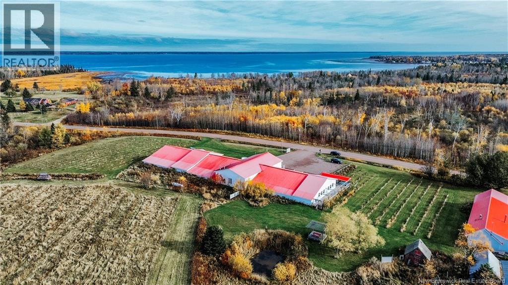 851 Route 970, Baie Verte, New Brunswick E4M 1Y3 - Photo 45 - NB129268