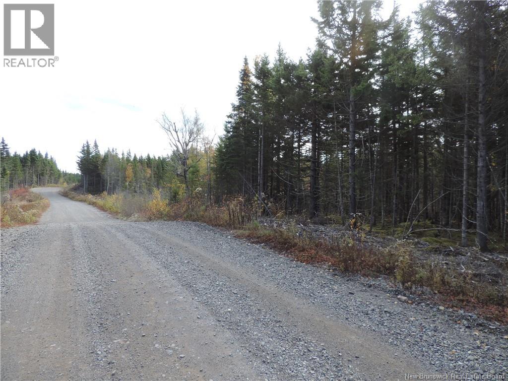 Old Gardner Creek Road, Rowley, New Brunswick  E2S 2C8 - Photo 2 - NB129248