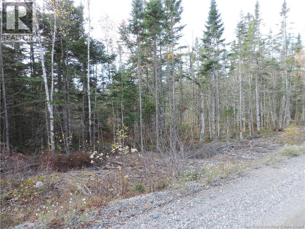 Old Gardner Creek Road, Rowley, New Brunswick  E2S 2C8 - Photo 3 - NB129248
