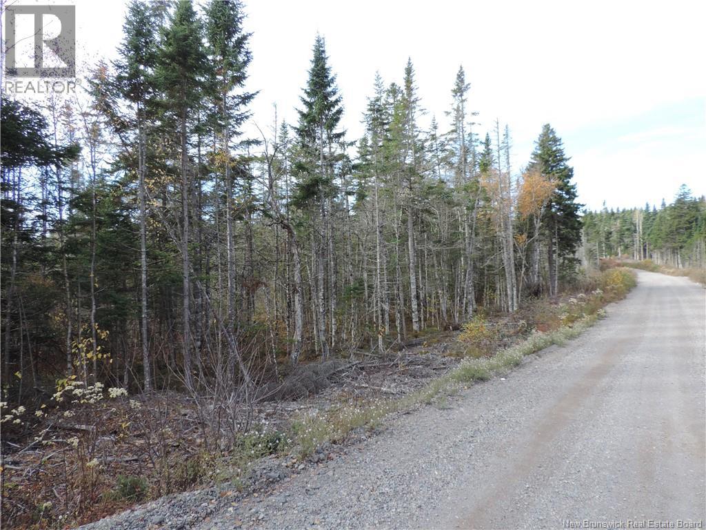 Old Gardner Creek Road, Rowley, New Brunswick  E2S 2C8 - Photo 4 - NB129248