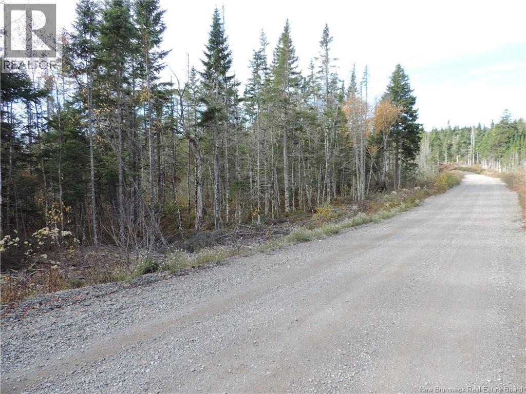 Old Gardner Creek Road, Rowley, New Brunswick  E2S 2C8 - Photo 5 - NB129248