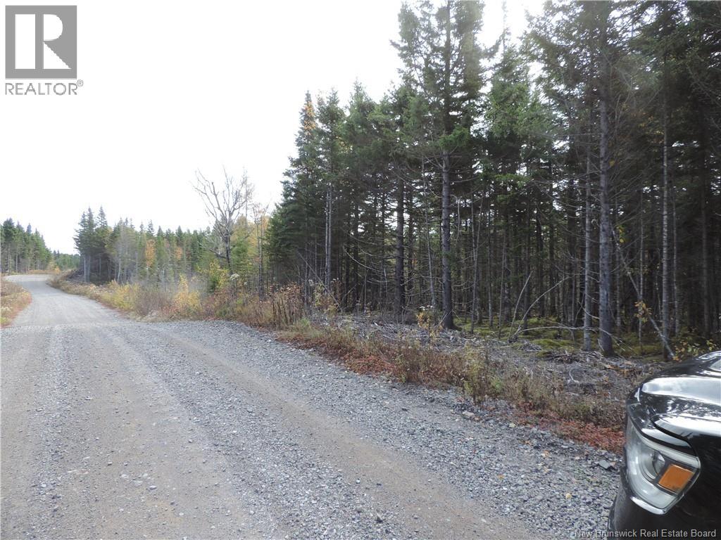Old Gardner Creek Road, Rowley, New Brunswick  E2S 2C8 - Photo 6 - NB129248