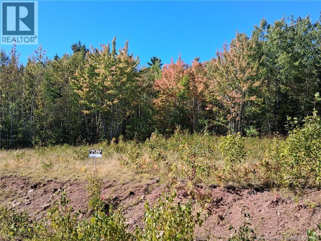 Lot 04-16 Sunset View Lane, Cumberland Bay, New Brunswick E4A 0A2 - Photo 1 - NB129290
